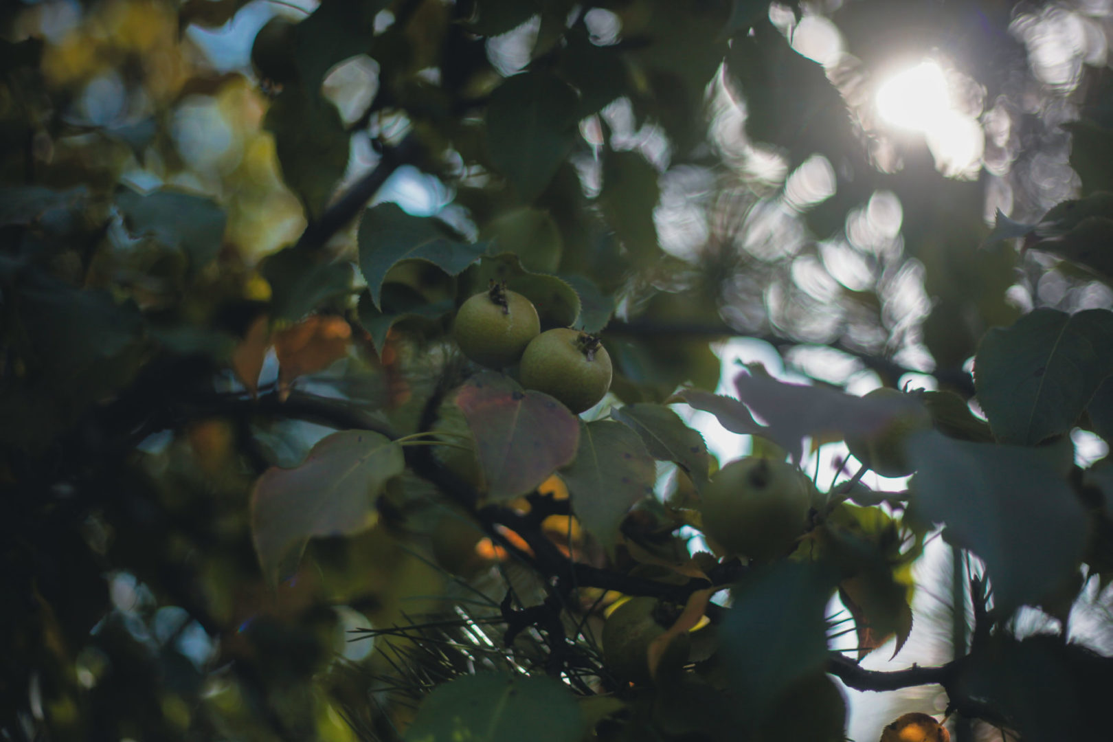 110 превышений ПДК зарегистрировали в воздухе Братска к 4 октября