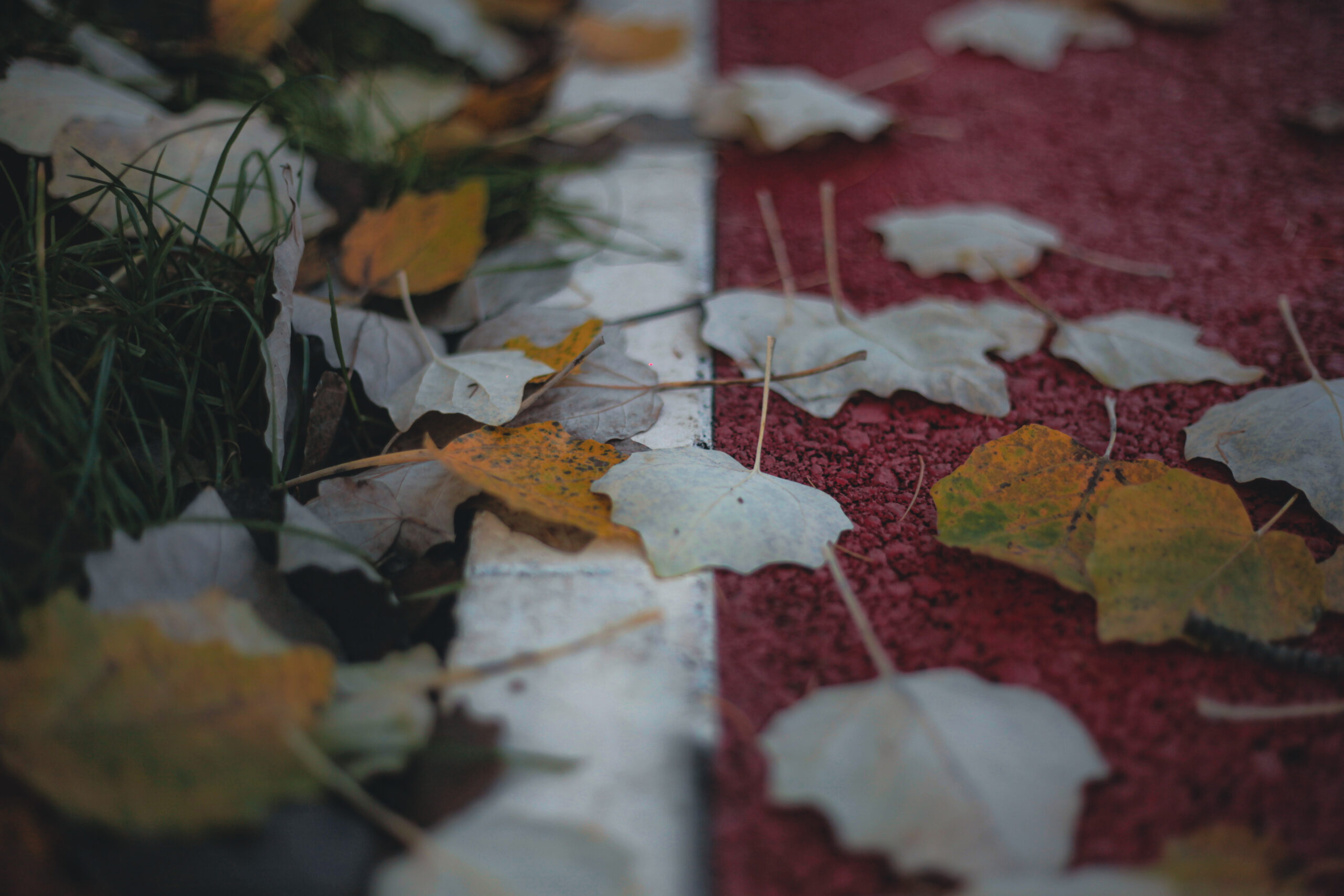 Хорошее за неделю: Братск с 4 по 10 октября