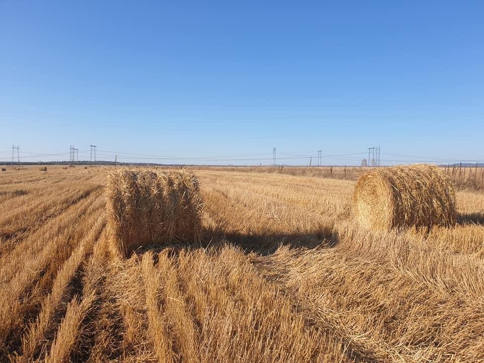 Мэр Братского района посетил фермерские хозяйства поселений