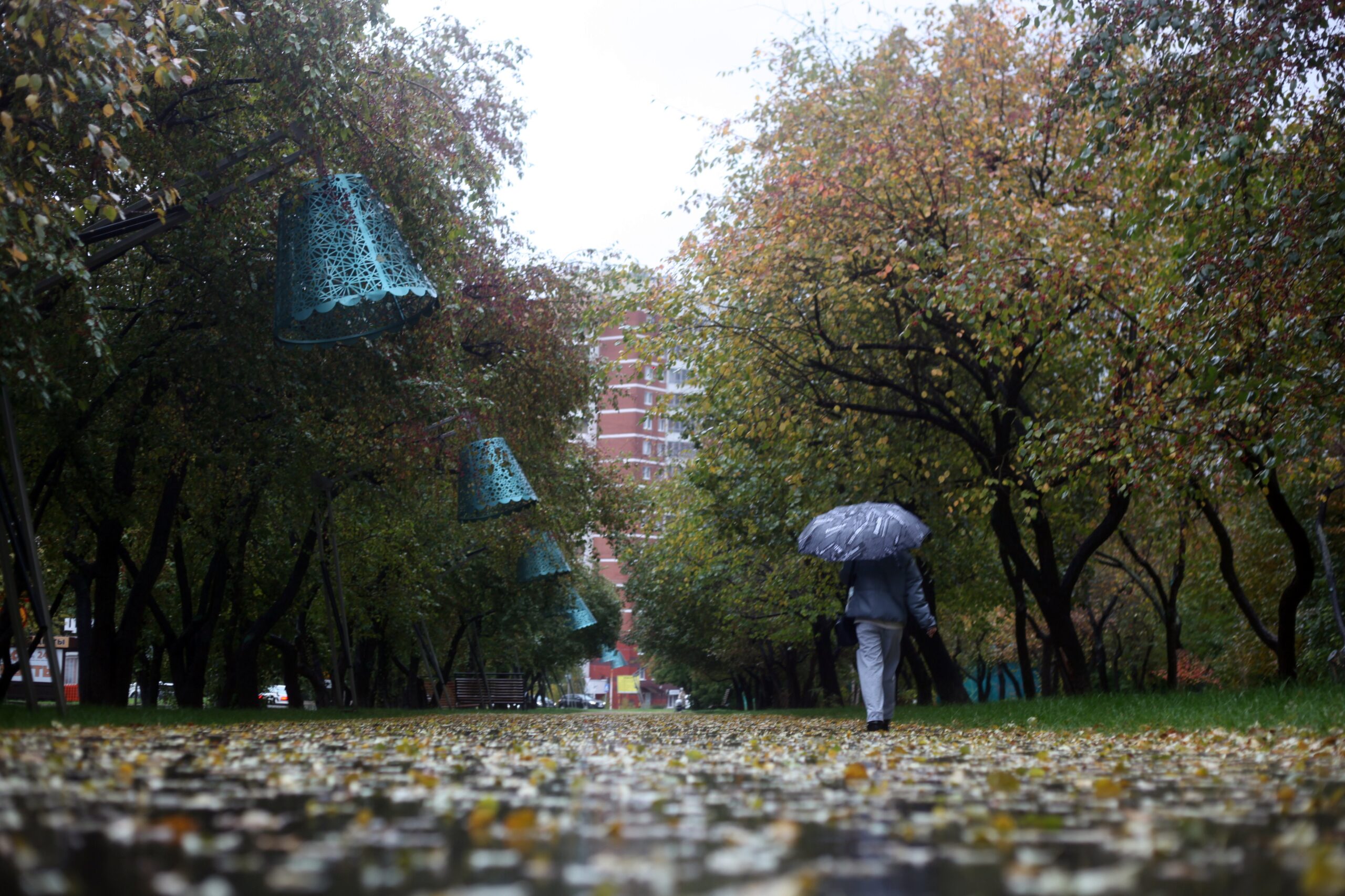 Мокрый снег и до 12 градусов тепла ожидается в Приангарье 6-7 октября