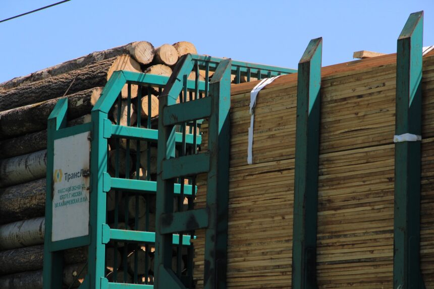 Руководителя предприятия оштрафовали на 90 тысяч рублей за оставленную древесину в защитных лесах Братского района