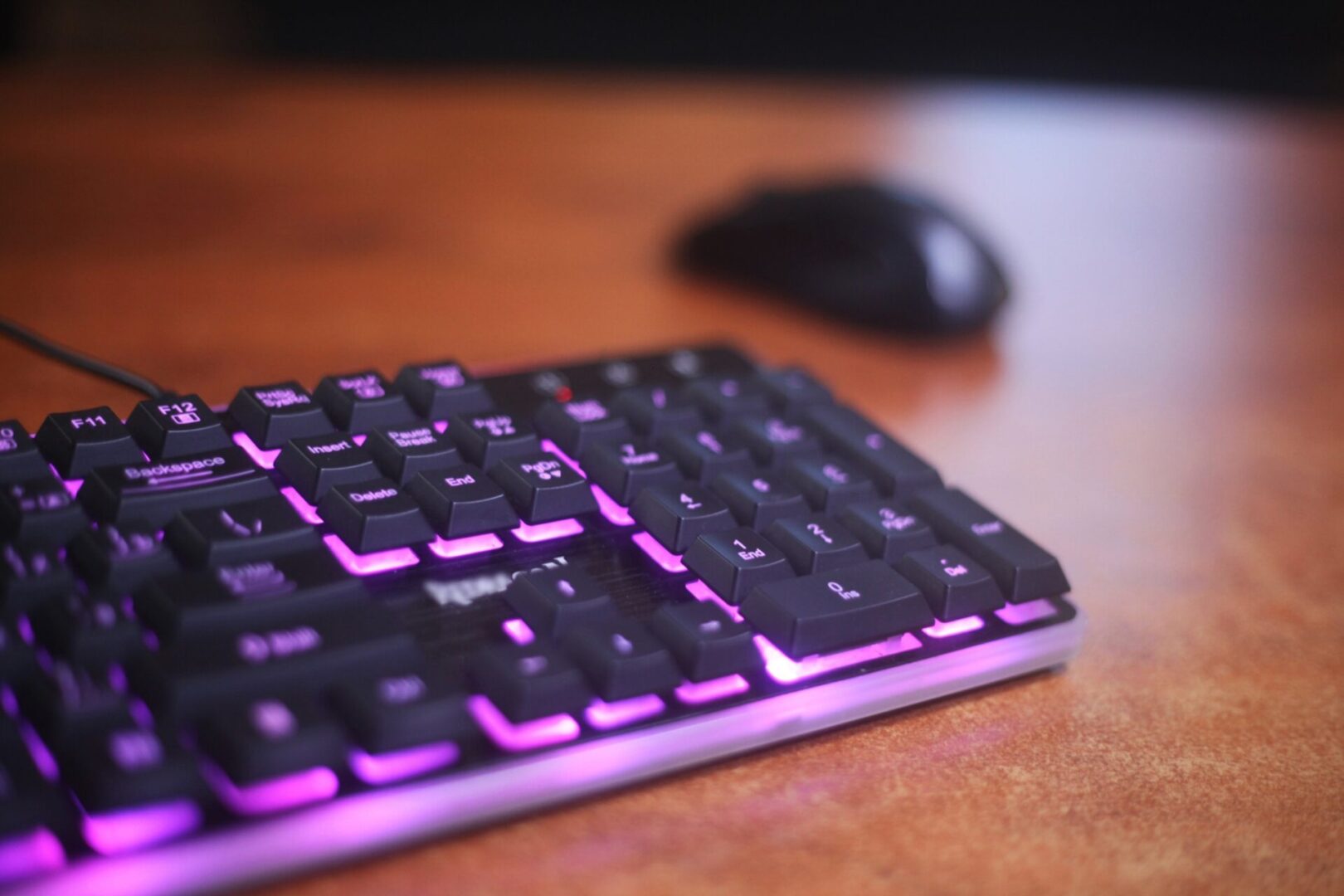 Студенты БрГУ с 30 октября по 7 ноября будут учиться дома