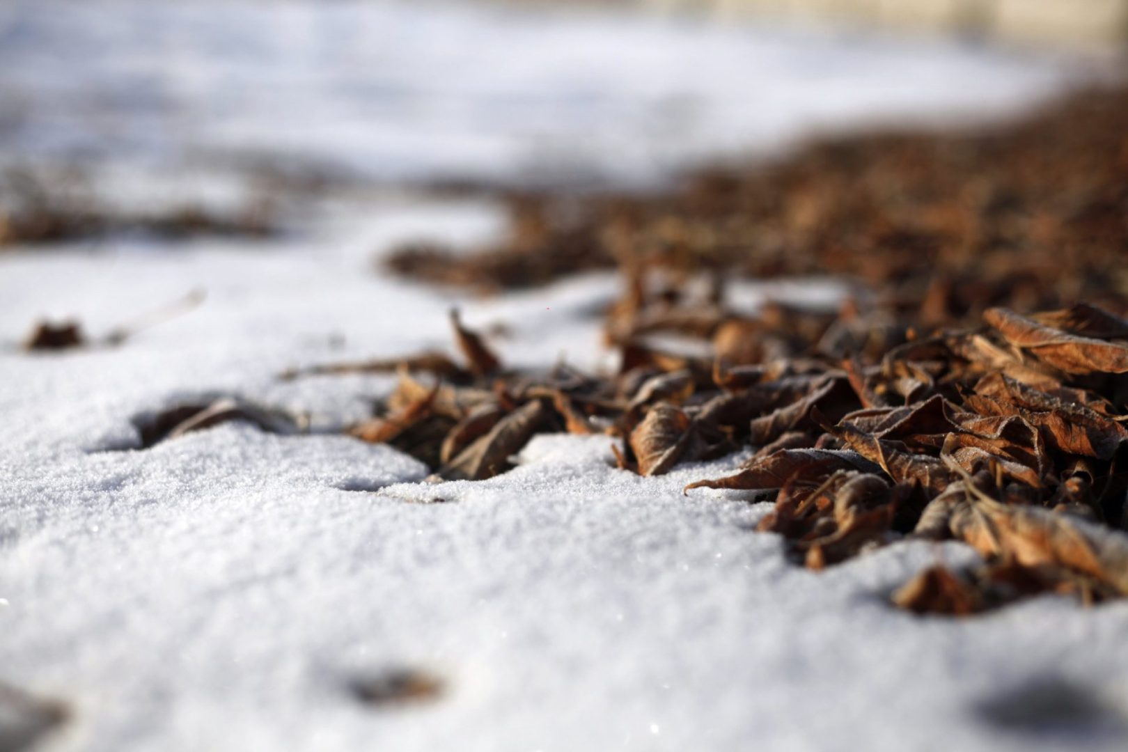 146 превышений предельно-допустимых концентраций обнаружили в воздухе Братска к 13 декабря