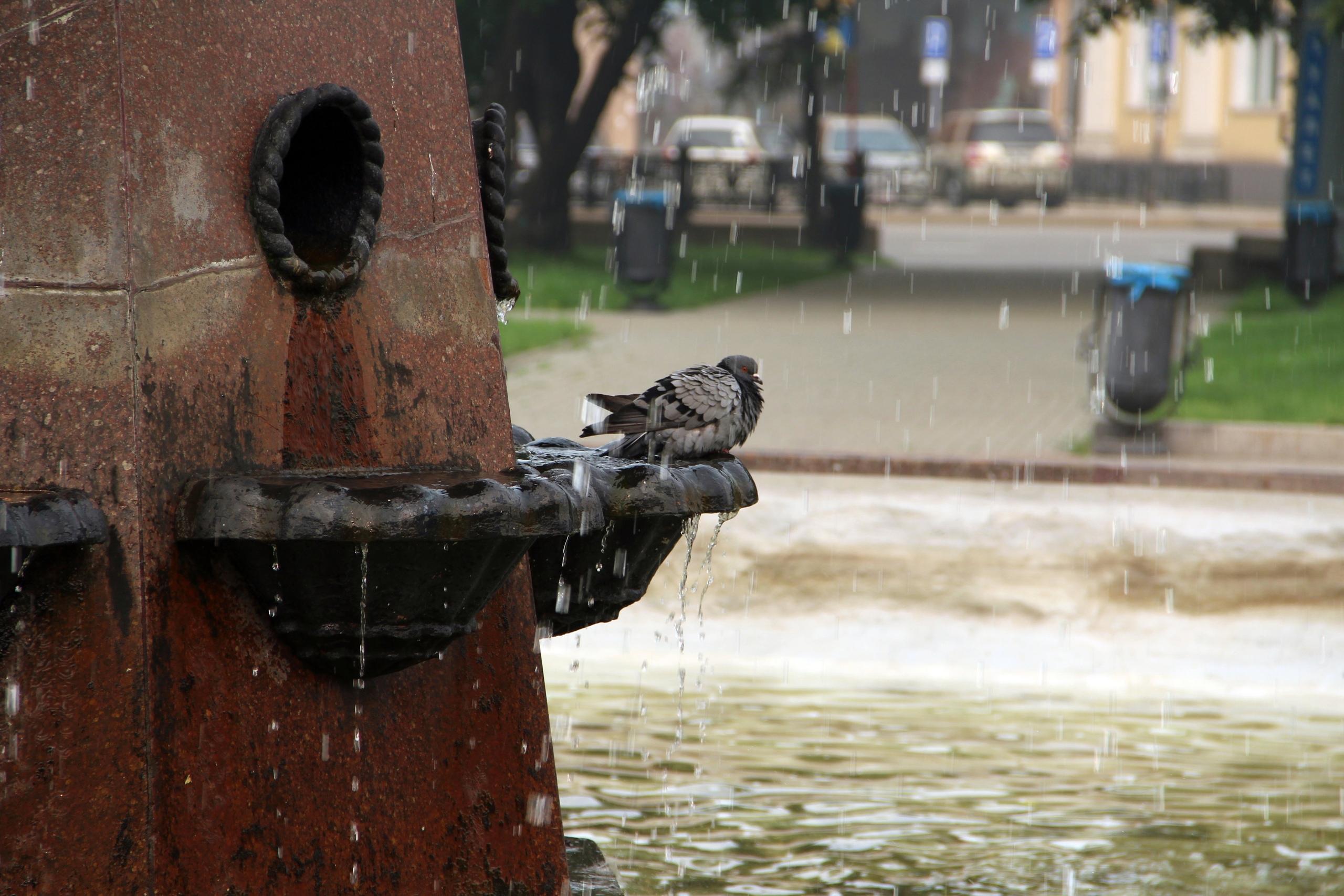 Фонтаны в Братске запустят 1 июня