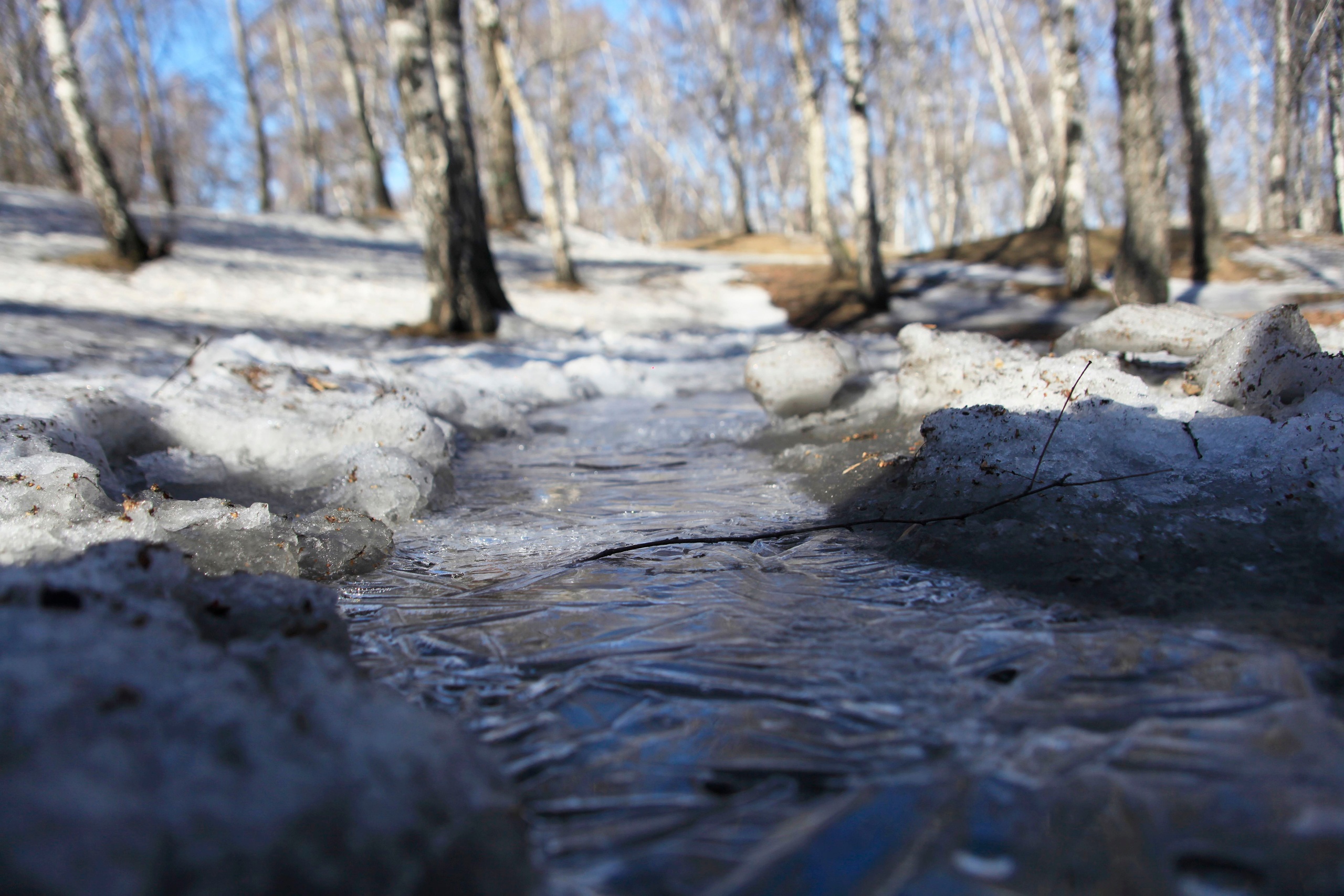 Мокрый снег и порывистый ветер: в Братске 12 апреля похолодает до -2 градусов