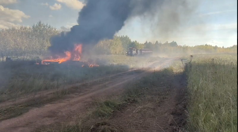 Пожар в поле с дымом и огнём