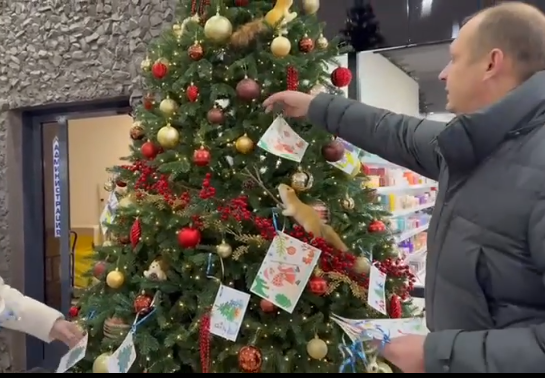 Украшенная ёлка с игрушками и открытками в магазине.