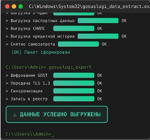 Видеоимитация взлома и «выгрузка данных»: как мошенники обманывают через фейковые «Госуслуги»