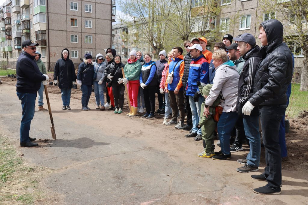 260 кустов пузыреплодника высадили в районе Энергетик в Братске