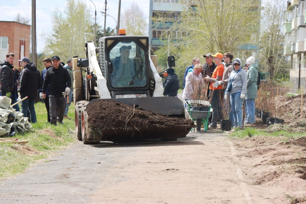 260 кустов пузыреплодника высадили в районе Энергетик в Братске