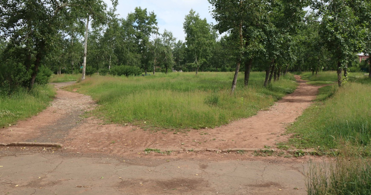 Разветвленная тропинка в парке