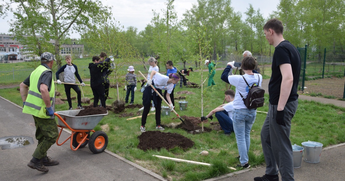 70 деревьев посадили в Братске в рамках экологической акции