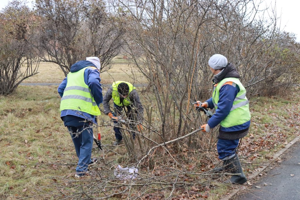 Вандалы портят городское имущество в Братске