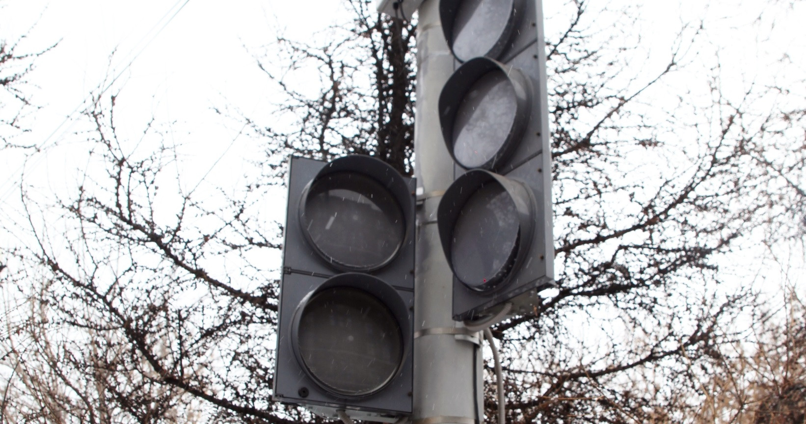 Неработающий светофор на фоне деревьев