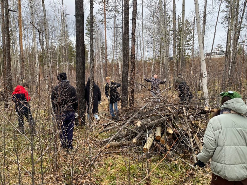 Братчане очищали леса от сухой древесины для предотвращения пожаров