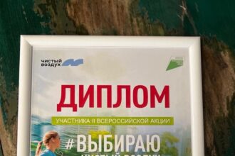 Братск признан «Беговой столицей» по результатам всероссийской акции «Выбираю чистый воздух»