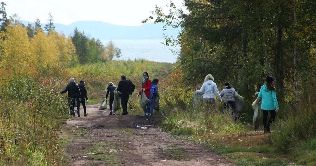 Уборка мусора в лесу у воды