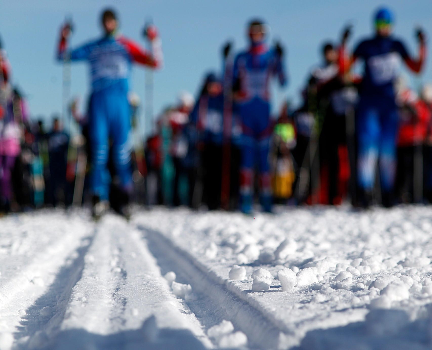 Лыжники на стартовой линии в снежном пейзаже.