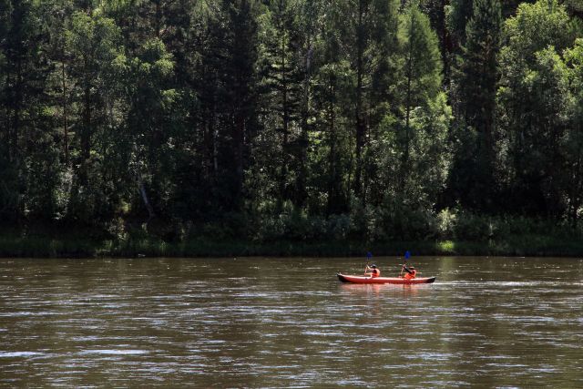 Река, водоем, лето, заплыв, сапборды