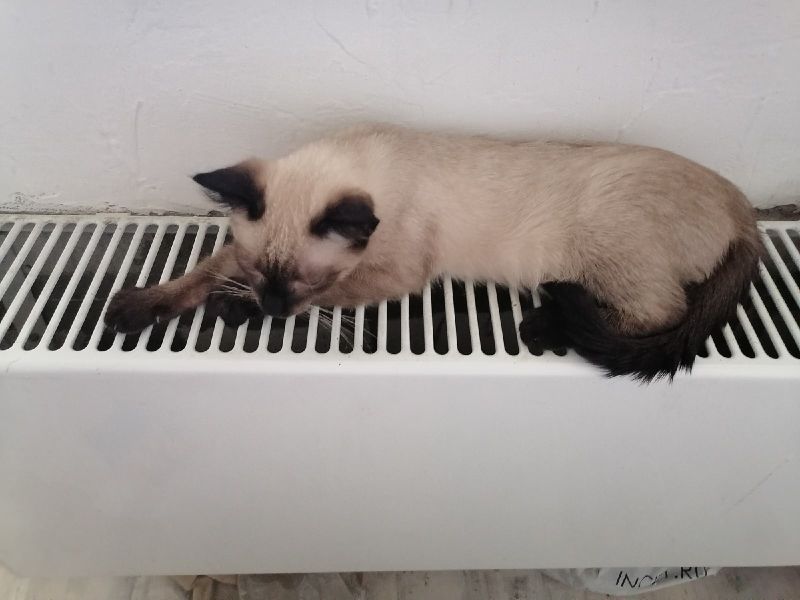 Тепло пришло в дома: в Братском районе официально стартовал отопительный сезон