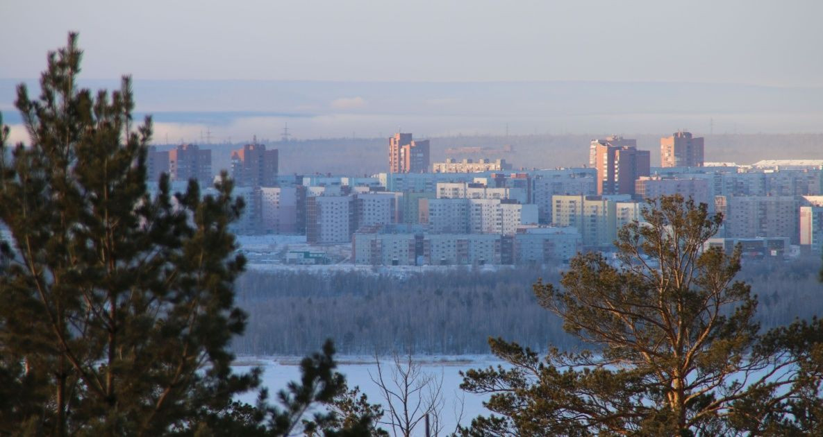 Городской пейзаж за деревьями зимой