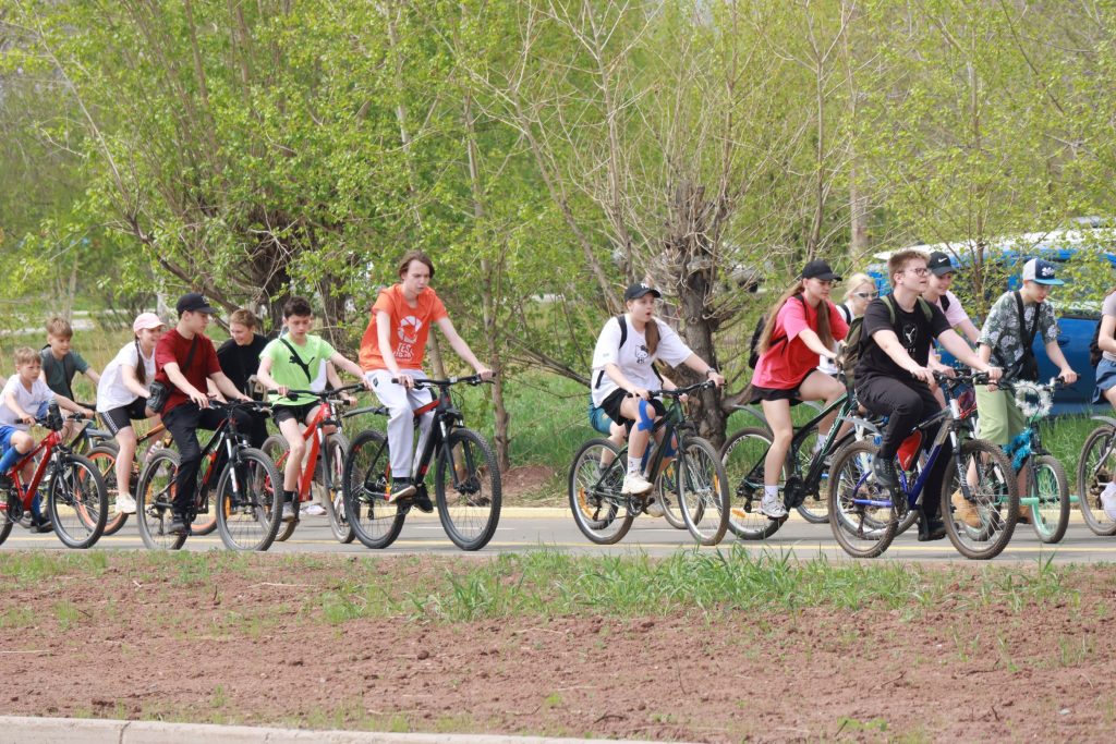 Велопешеходную дорожку в Братске продлят до жилого района Северный Артек