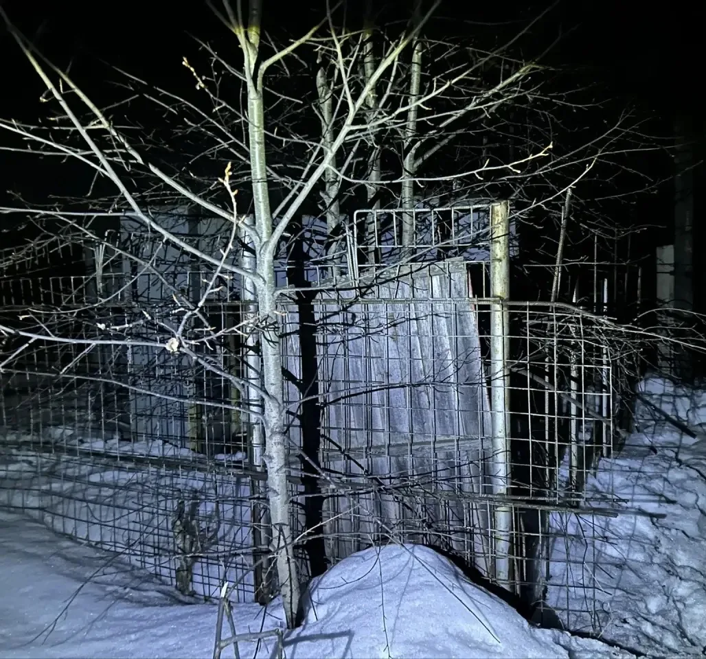 Металлические клетки и дерево в снегу ночью