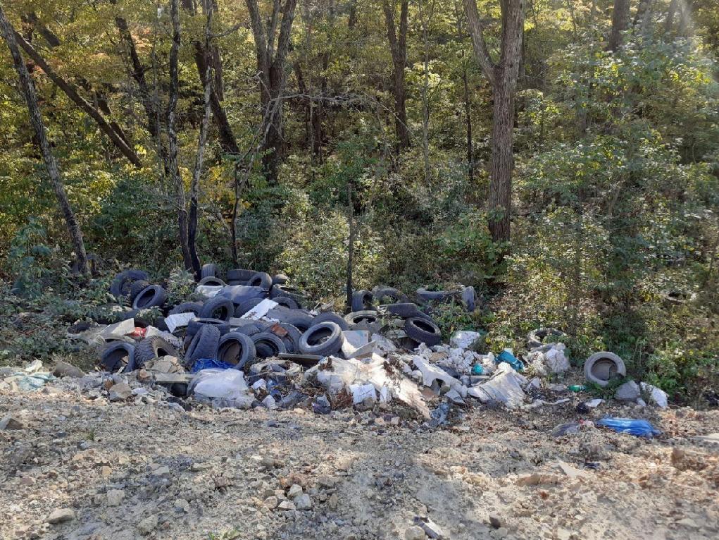 Лесозаготовителя обязали через суд убрать несанкционированную свалку в Братском районе