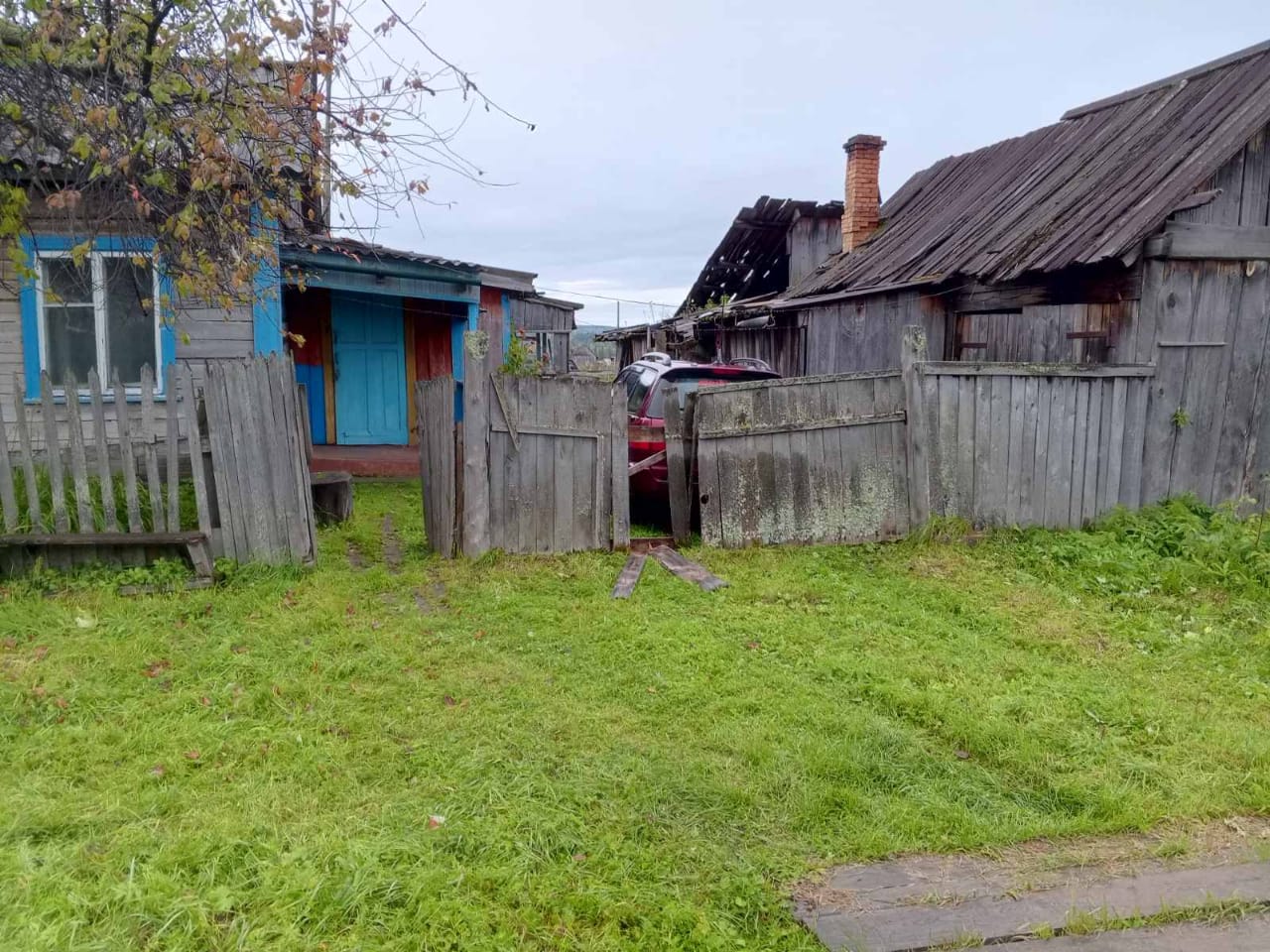 Медведь "похозяйничал" во дворах жителей Парчума в Иркутской области