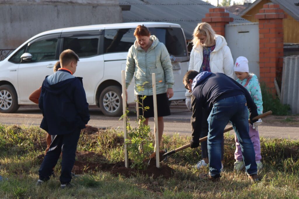 Мэр Братска и коллектив городского суда высадили 20 рябин и пять яблонь на пустыре