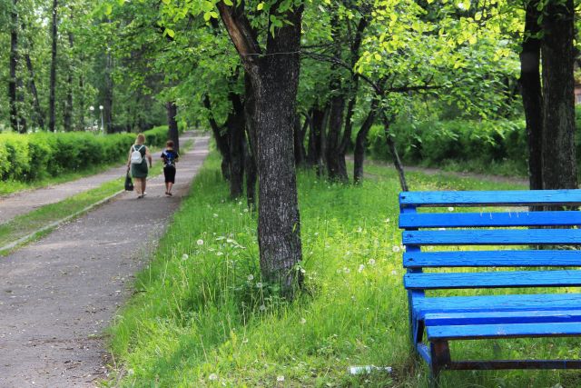 ТОП 10 «Выбираю чистый воздух»: Братск вошел в рейтинг активных городов-участников