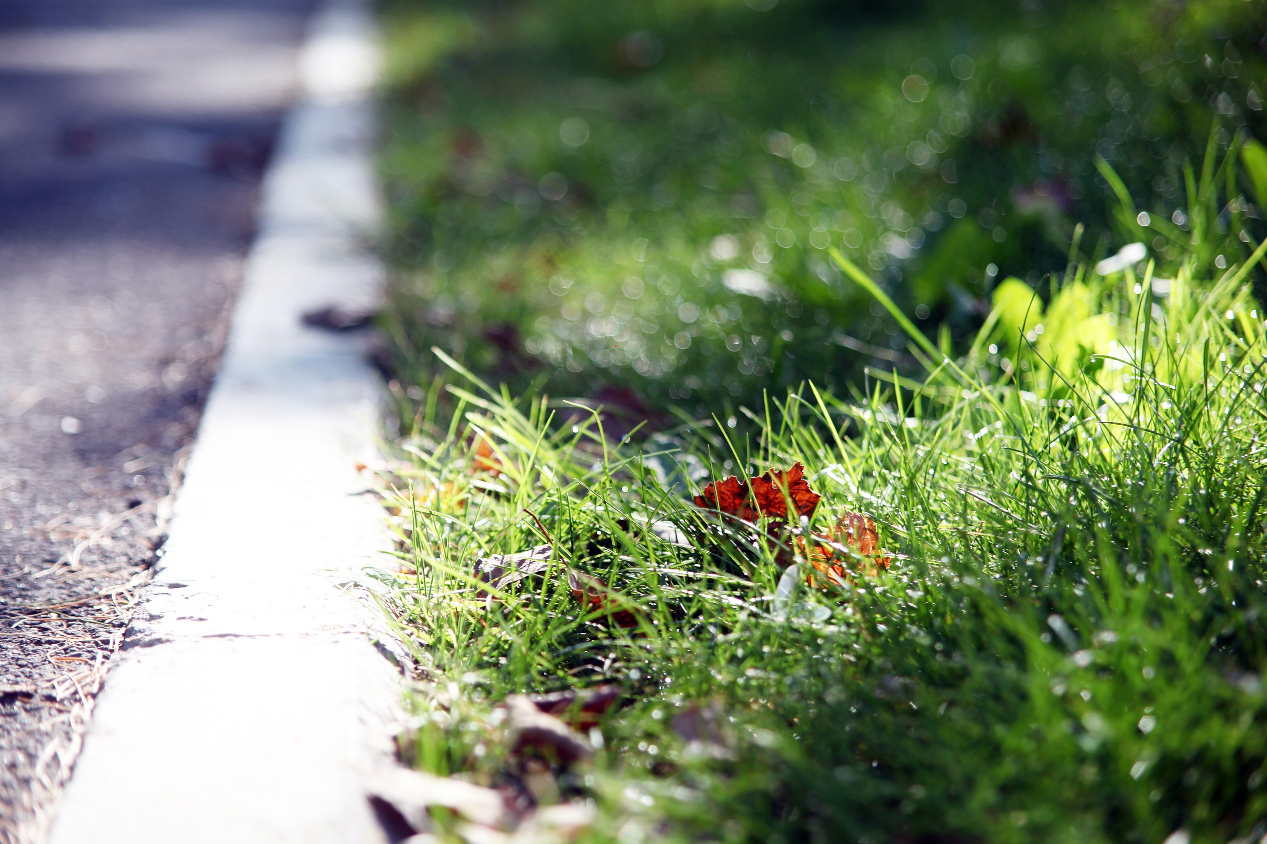 Na Ozelenenie Bratska Planiruetsya Vydelit 34727 Mln Rubley 2