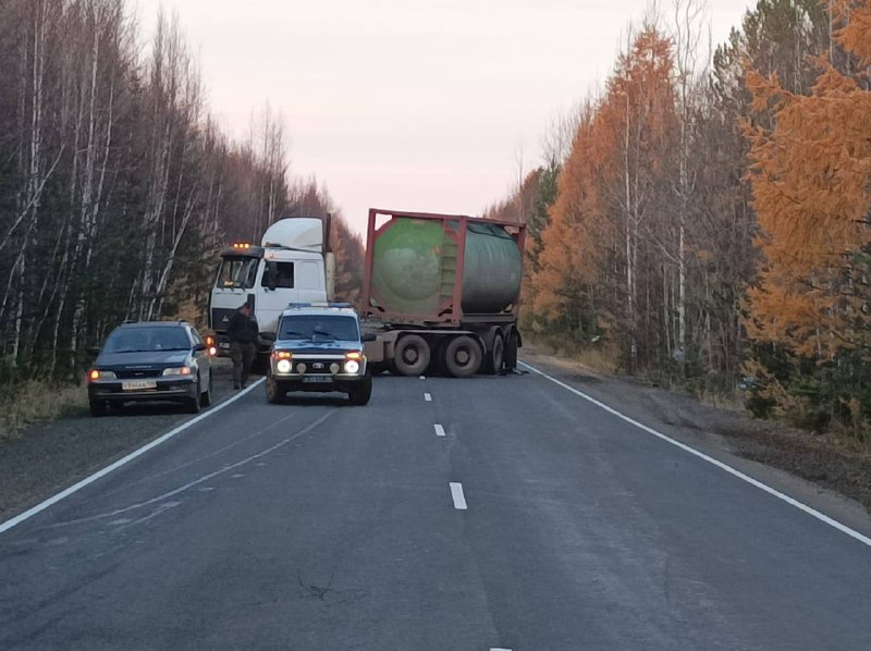 На трассе в Приангарье случилось ДТП из-за медведя