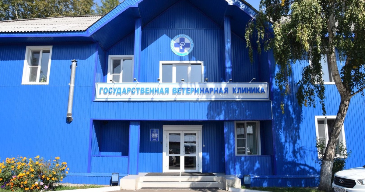 Ограничительные мероприятия по случаю бешенства в СНТ «Юбилейный» отменены в Братске