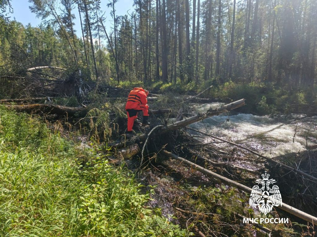 Течение на реке Быстрая в Приангарье унесло жизнь сборщика ягод