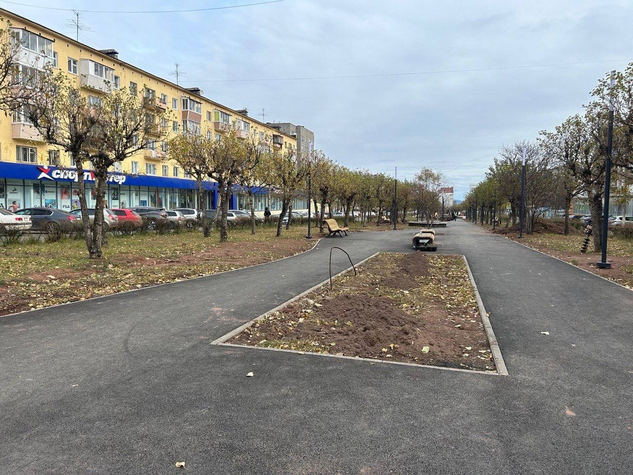 Почти 1700 кустарников и деревьев высадили на улице Кирова в Братске