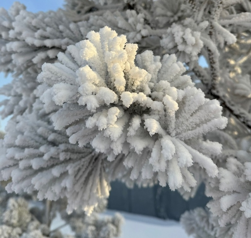 Pogoda Uhudshitsya V Priangare 10 Yanvarya