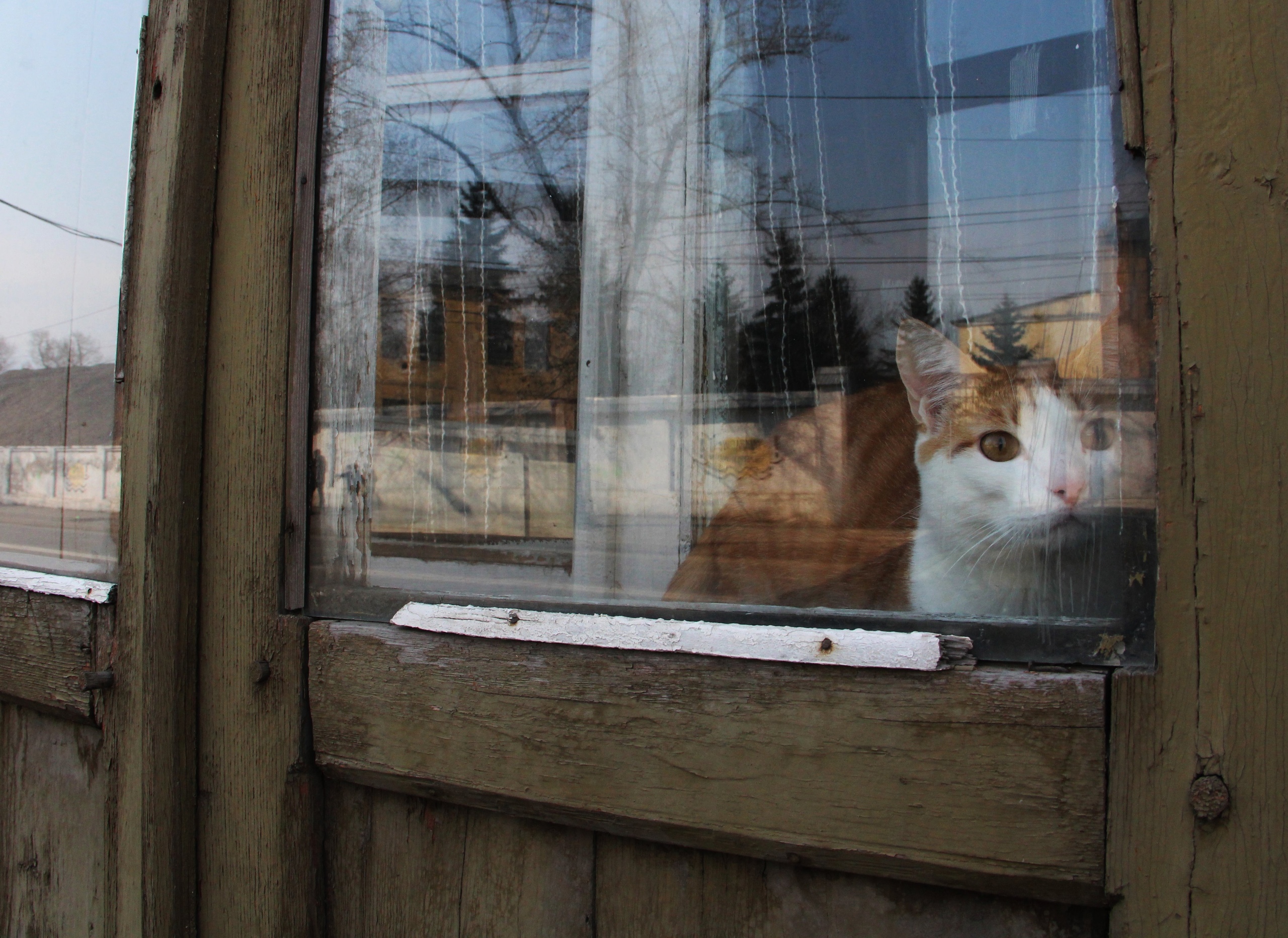 Погода в Братске на выходные: с 5 по 6 февраля синоптики обещают снег