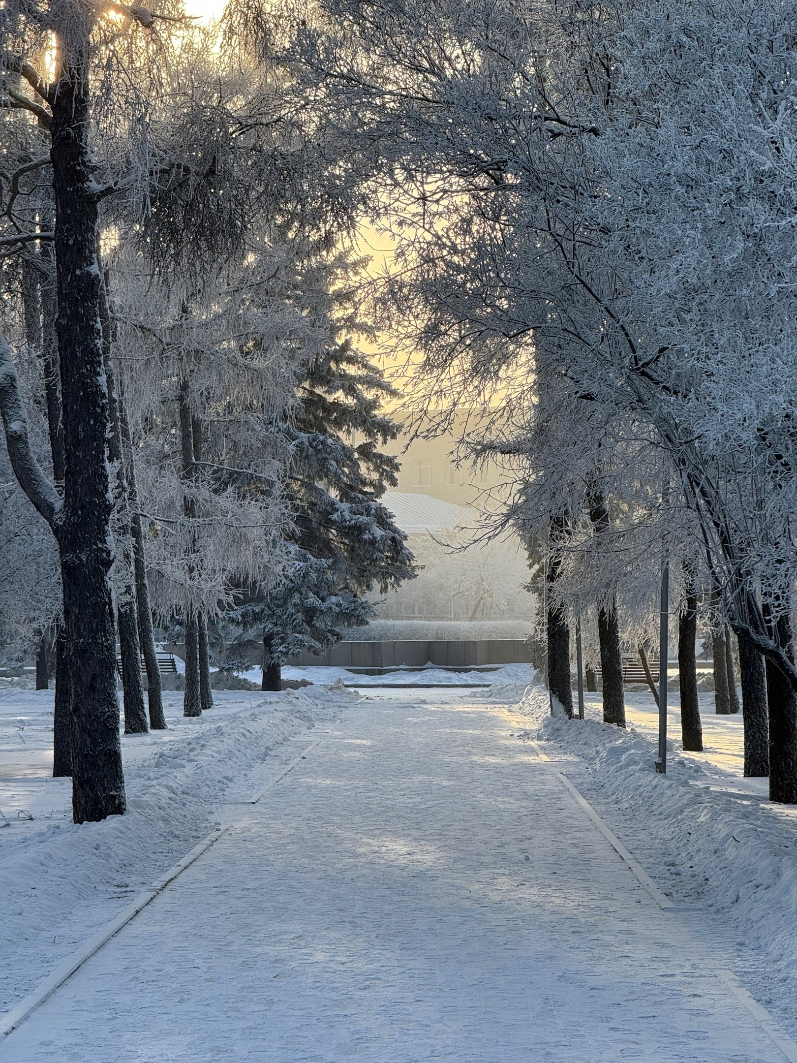 Rossiyan Zhdut Tri Shestidnevnye Rabochie Nedeli V 2024 Godu