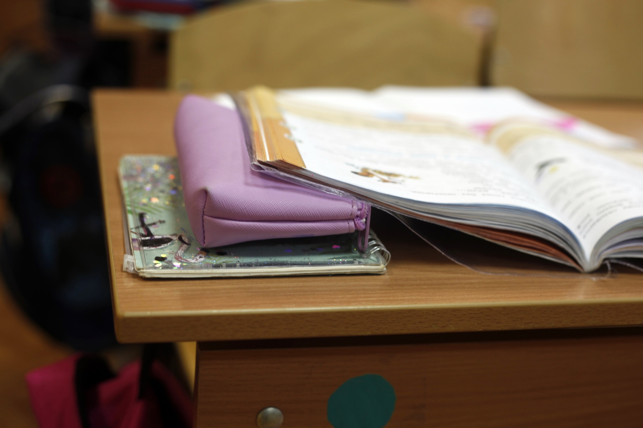 Самыми популярными предметами ЕГЭ по выбору братских школьников стали информатика и обществознание