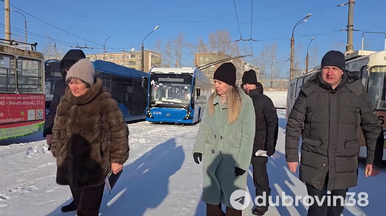 Люди на улице возле автобусов зимой.