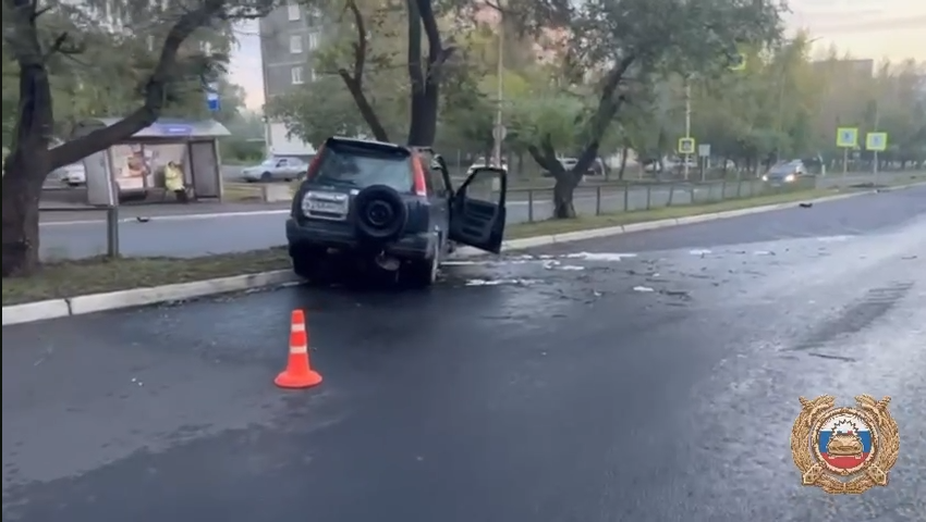 В Братске 25-летняя девушка на кроссовере врезалась в дерево и погибла