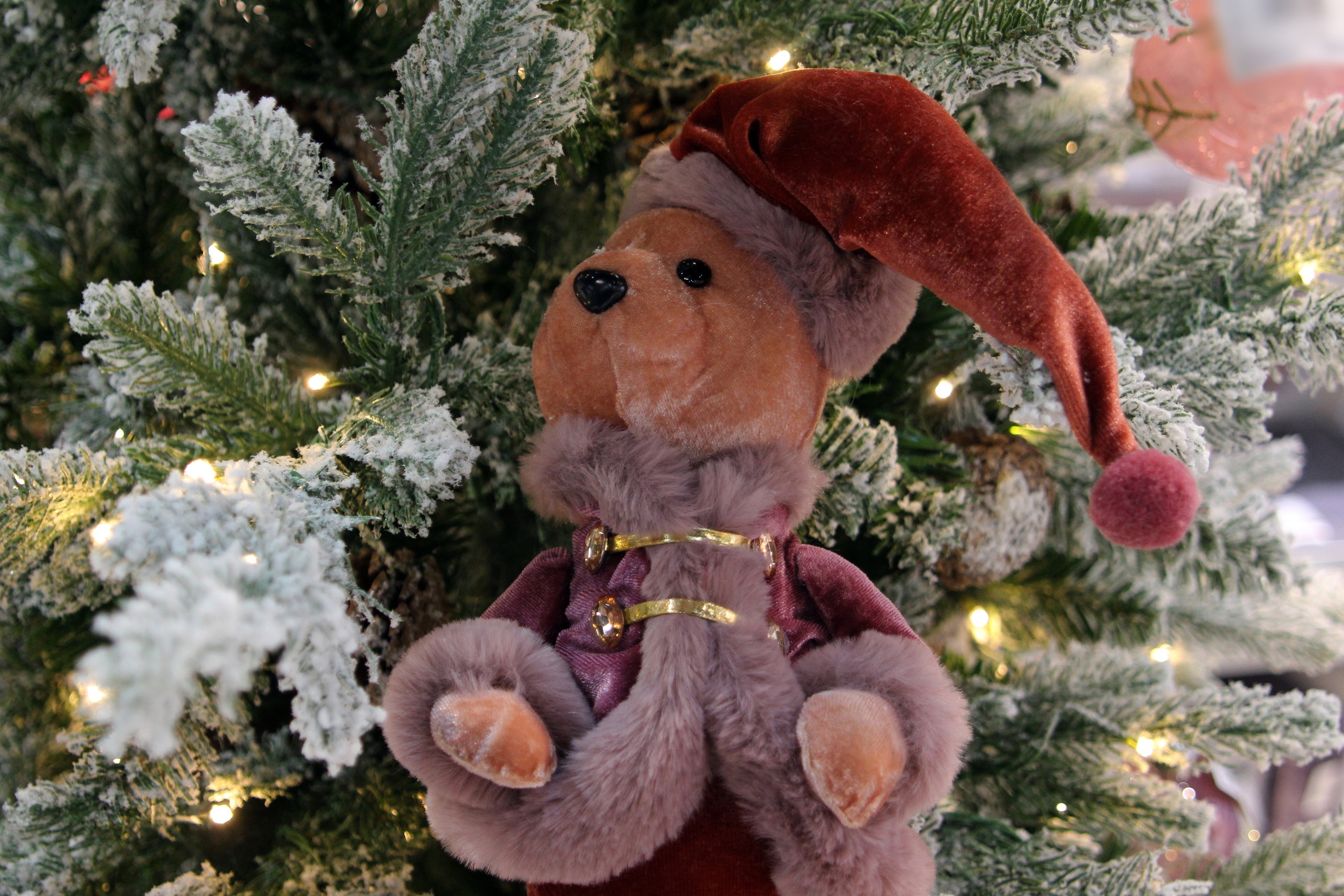 V Bratske Proshli Blagotvoritelnye Novogodnie Predstavleniya Dlya Detey Nuzhdayuschihsya V Osoboy Zabote