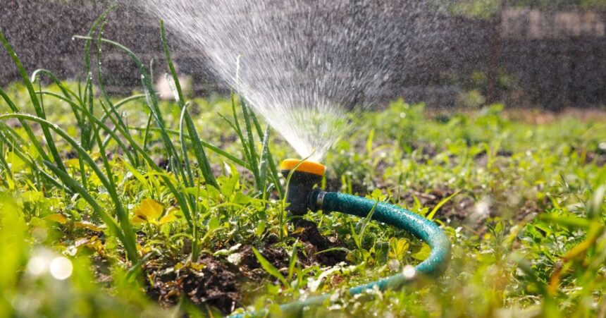 В Братске решено не повышать тарифы на воду для членов СНТ