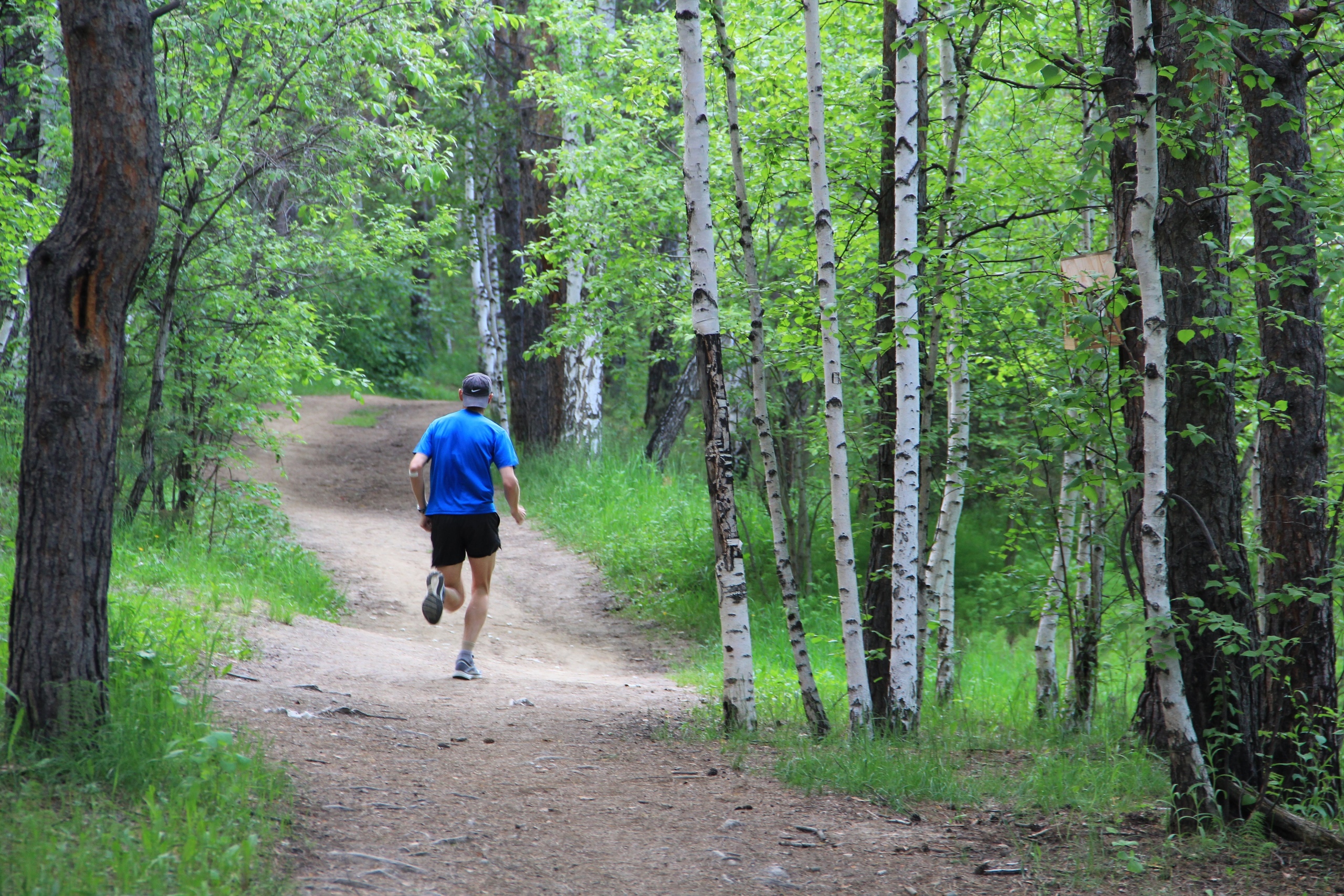 Всероссийский день бега пройдет в Братске 16 сентября