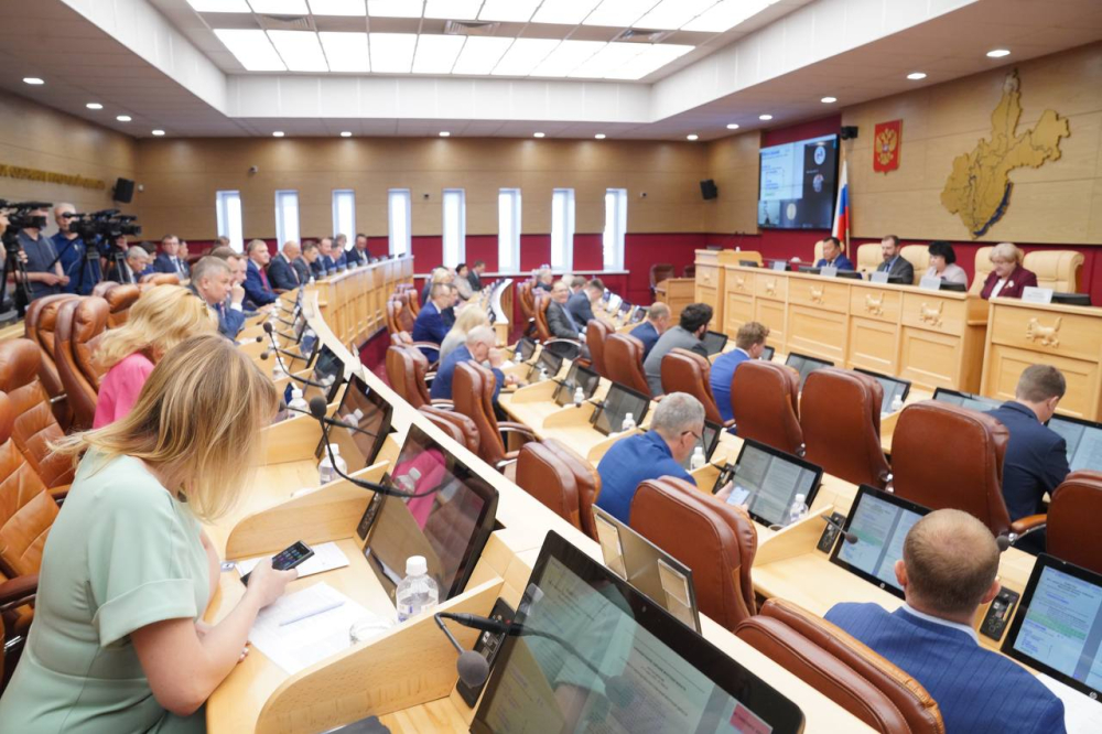 Выплаты медикам и дополнительная поддержка семей - ЗС Приангарья одобрило новые законопроекты на сессии 17 мая