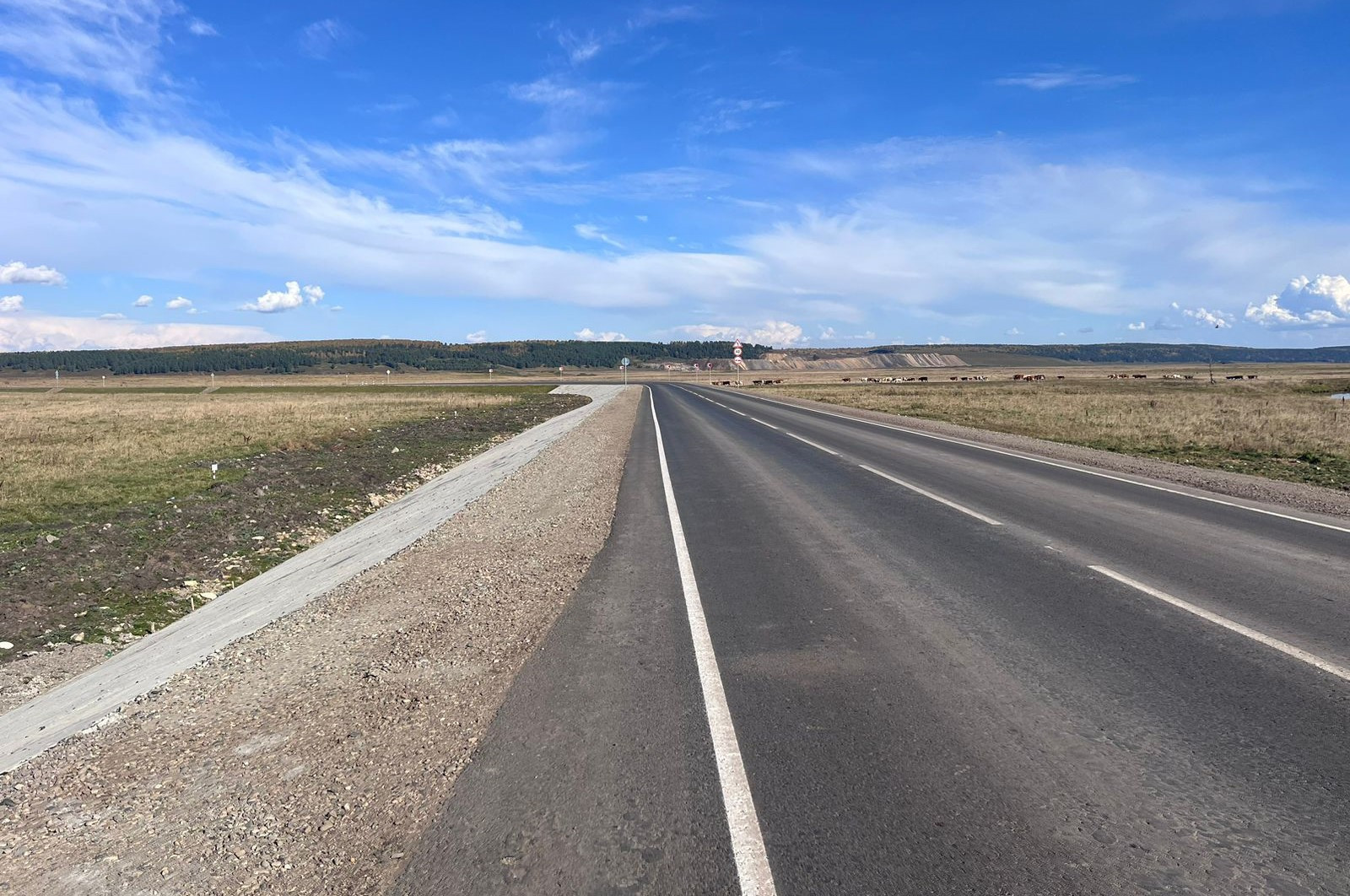 Дорога и пастбище на фоне неба