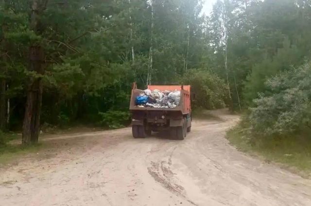 Более 60 тонн мусора вывезли с береговой зоны Зябы в Братске